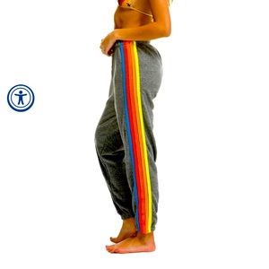 NWT Aviator Nation 5 Stripe Sweatpants